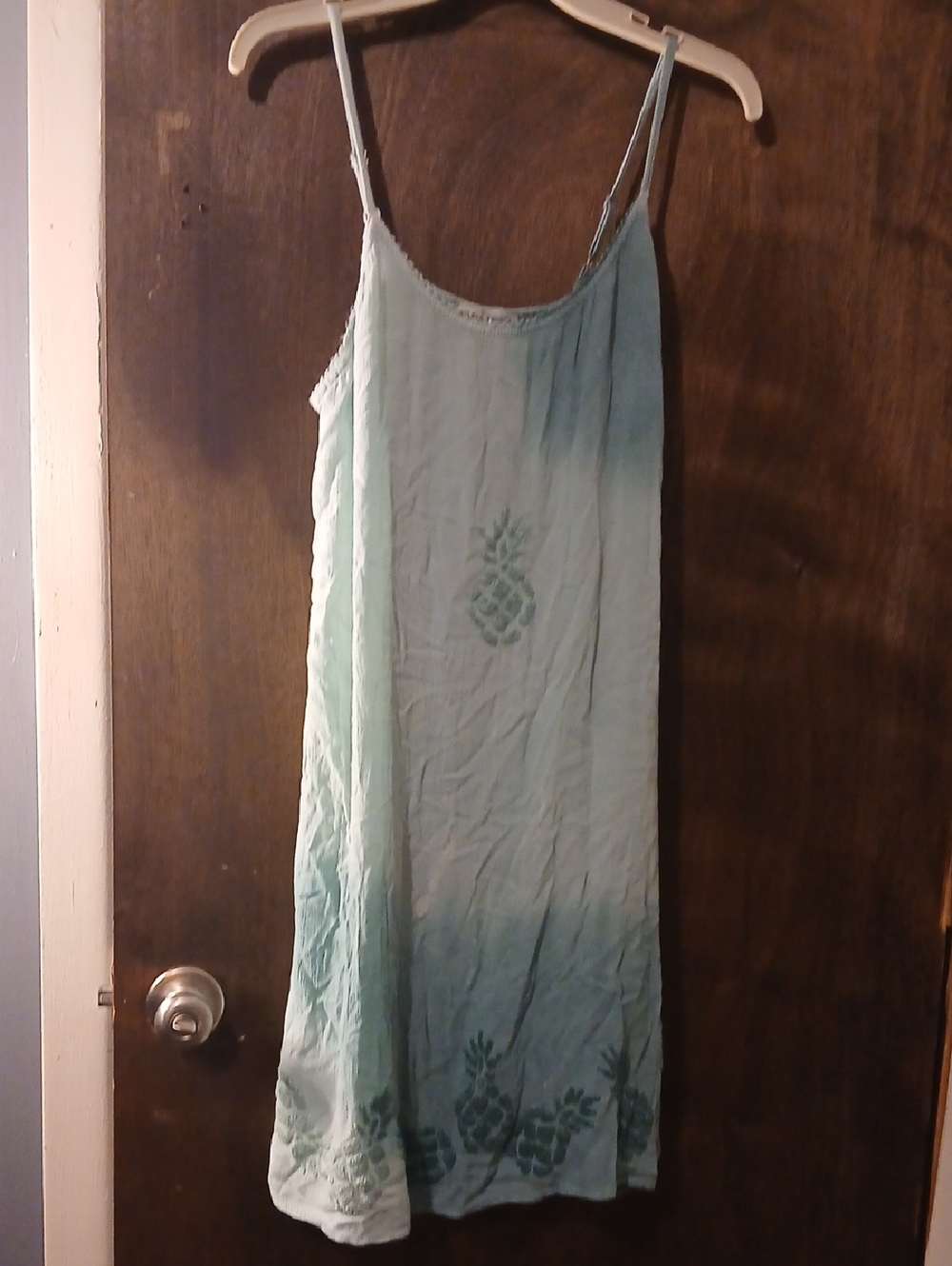 raya sun Mint Green Ombre Pineapple Swim Coverup